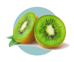 Illustration de la vitamine E